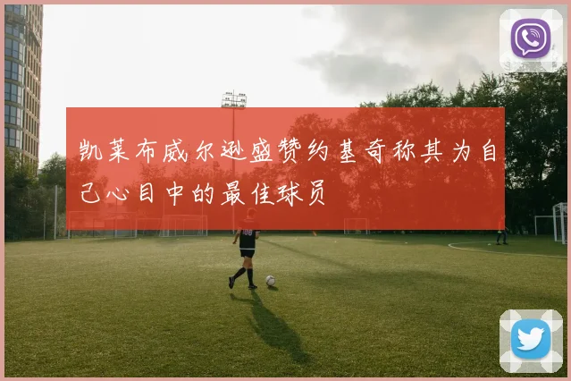 凯莱布威尔逊盛赞约基奇称其为自己心目中的最佳球员