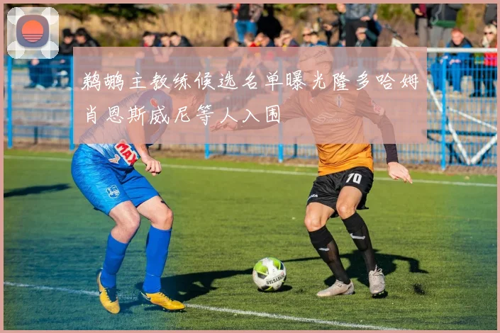 鹈鹕主教练候选名单曝光隆多哈姆肖恩斯威尼等人入围